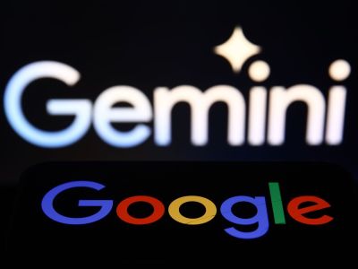    Google Gemini   