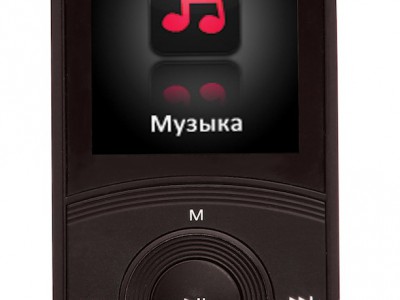 Ritmix RF-4700: MP3-   FM-