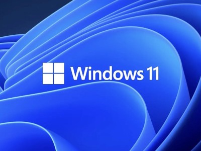 Windows 11     Windows 8