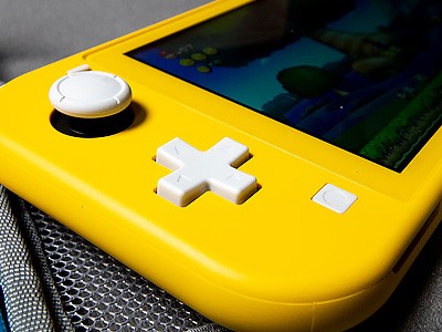 Nintendo Switch Lite   .    