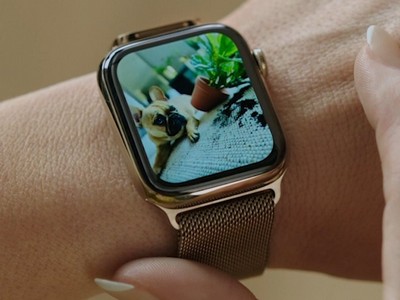  Apple watchOS 8  ,     