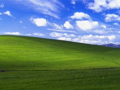 Windows XP          Microsoft