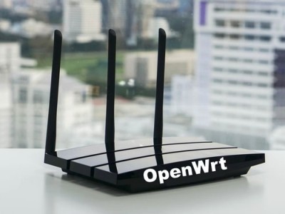  OpenWRT      