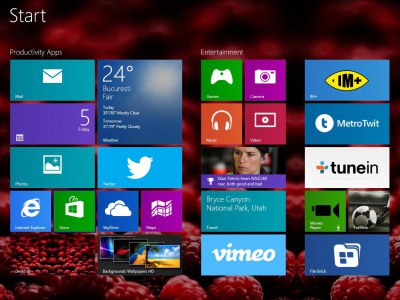 Microsoft       Windows 8.1