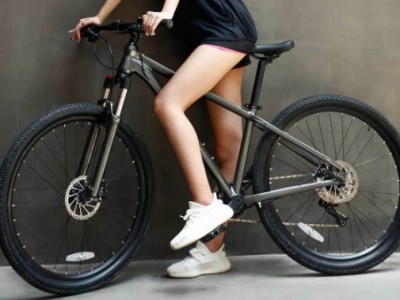 Xiaomi Mi Qicycle Mountain Bike      - 