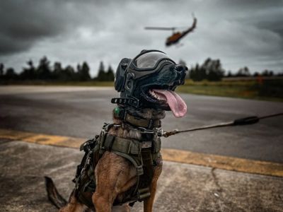  DarkFighter K9 GEN4     []