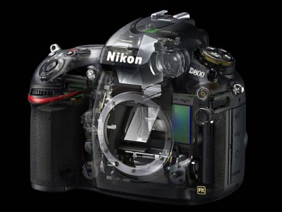 Nikon  36-   D800