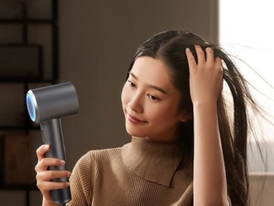   Xiaomi Mijia Dryer H501: 8      