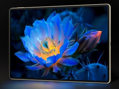 HUAWEI MatePad Pro 12.2    OLED-