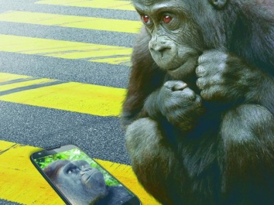 Corning     Gorilla Glass