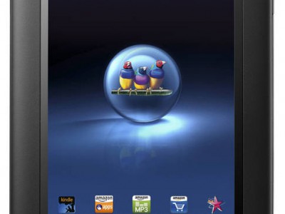 ViewSonic  7-  ViewBook 730  250$