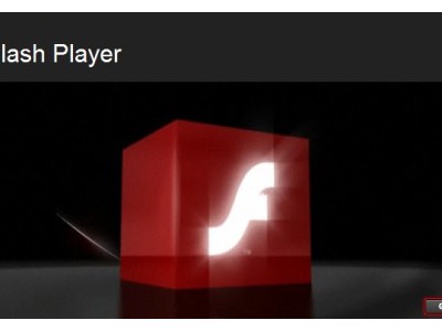 Adobe Flash Player 10.1   Release Candidate