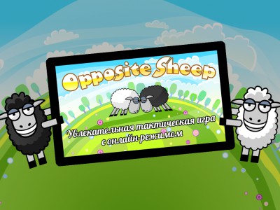 Opposite Sheep -      