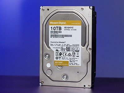  Western Digital WD Gold 10 TB:   