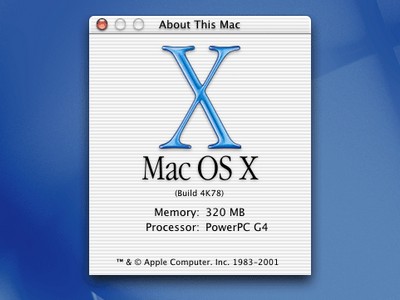 Microsoft   Windows XP   Mac OS X