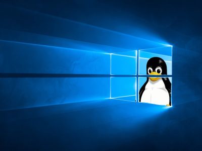 Windows 11  Linux   .   