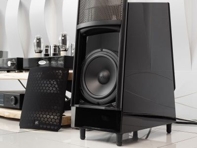  Martin Logan ElectroMotion ESL X:    SpaceX