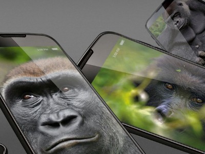  Gorilla Glass Victus 2    []