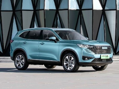  HAVAL H6 PHEV  1,55   100 