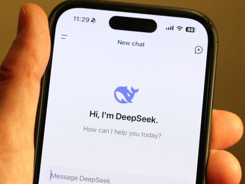 DeepSeek