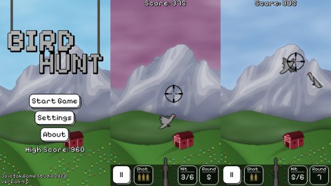 Bird Hunt