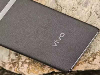    vivo X100s Pro   