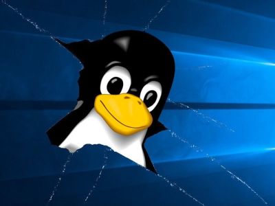 Windows Subsystem for Linux       